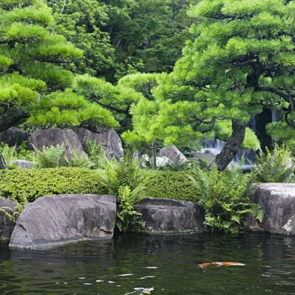 Japan, Himeji, Himeji Koko-en Gardens, pond with Koi Carps